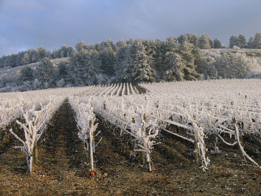 LES HAUTES COTES SOUS LE GIVRE.JPG